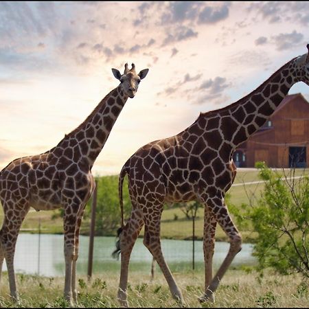 Blue Hills Ranch Hotel McGregor Luaran gambar