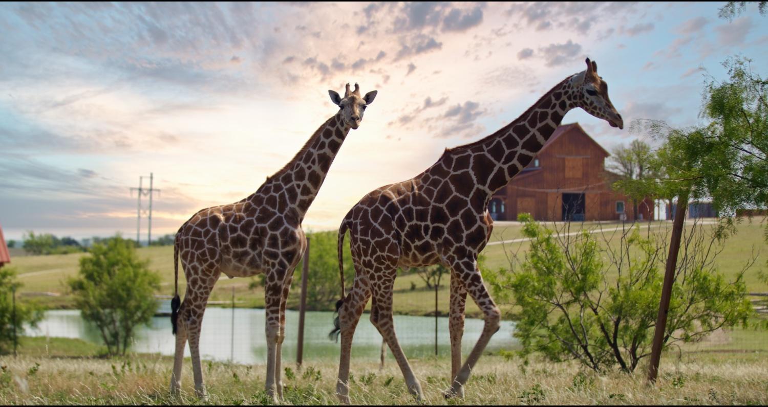 Blue Hills Ranch Hotel McGregor Luaran gambar