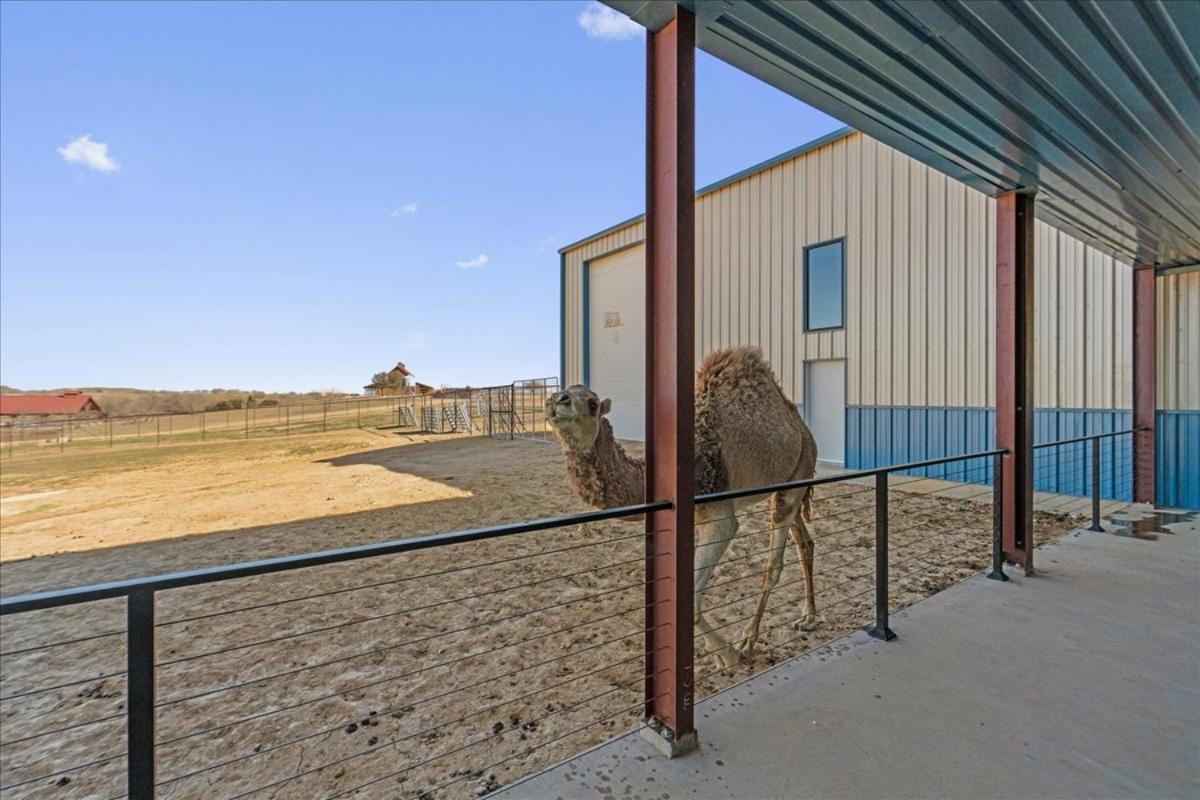 Blue Hills Ranch Hotel McGregor Luaran gambar