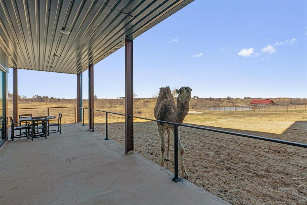 Blue Hills Ranch Hotel McGregor Luaran gambar