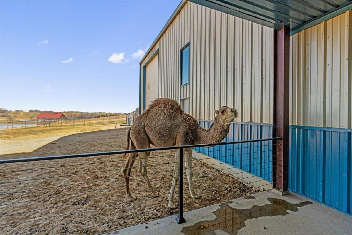 Blue Hills Ranch Hotel McGregor Luaran gambar